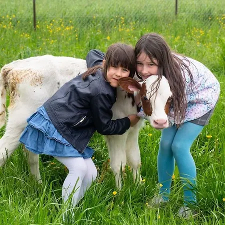 Happy Cow Apartment Mavcice