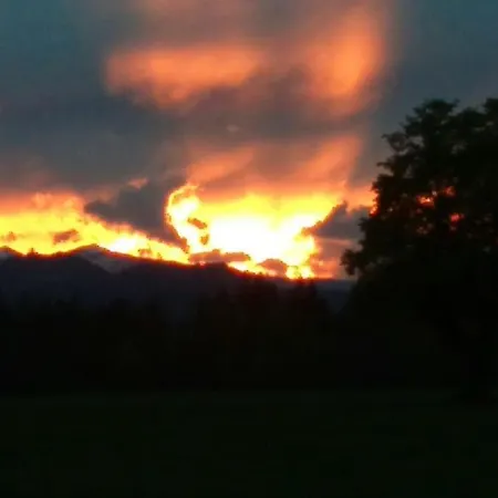 Happy Cow アパート *