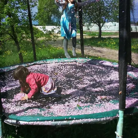 Happy Cow アパート *