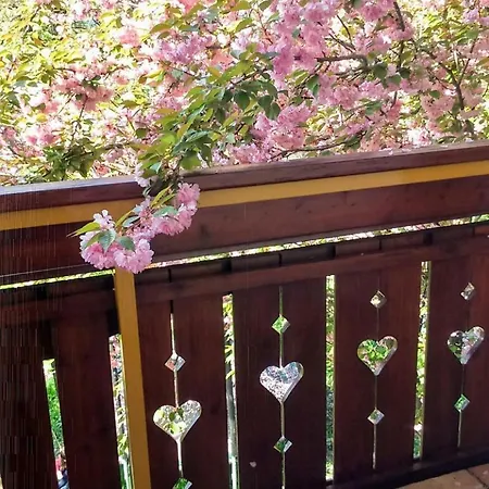 Happy Cow アパート