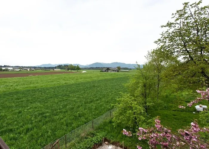 Appartamento Happy Cow