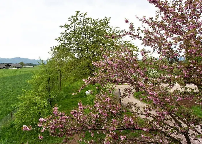 Appartamento Happy Cow