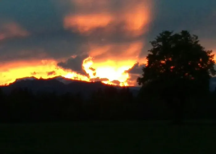 Happy Cow Appartamento *