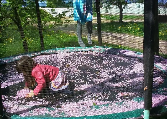 Happy Cow Appartamento *